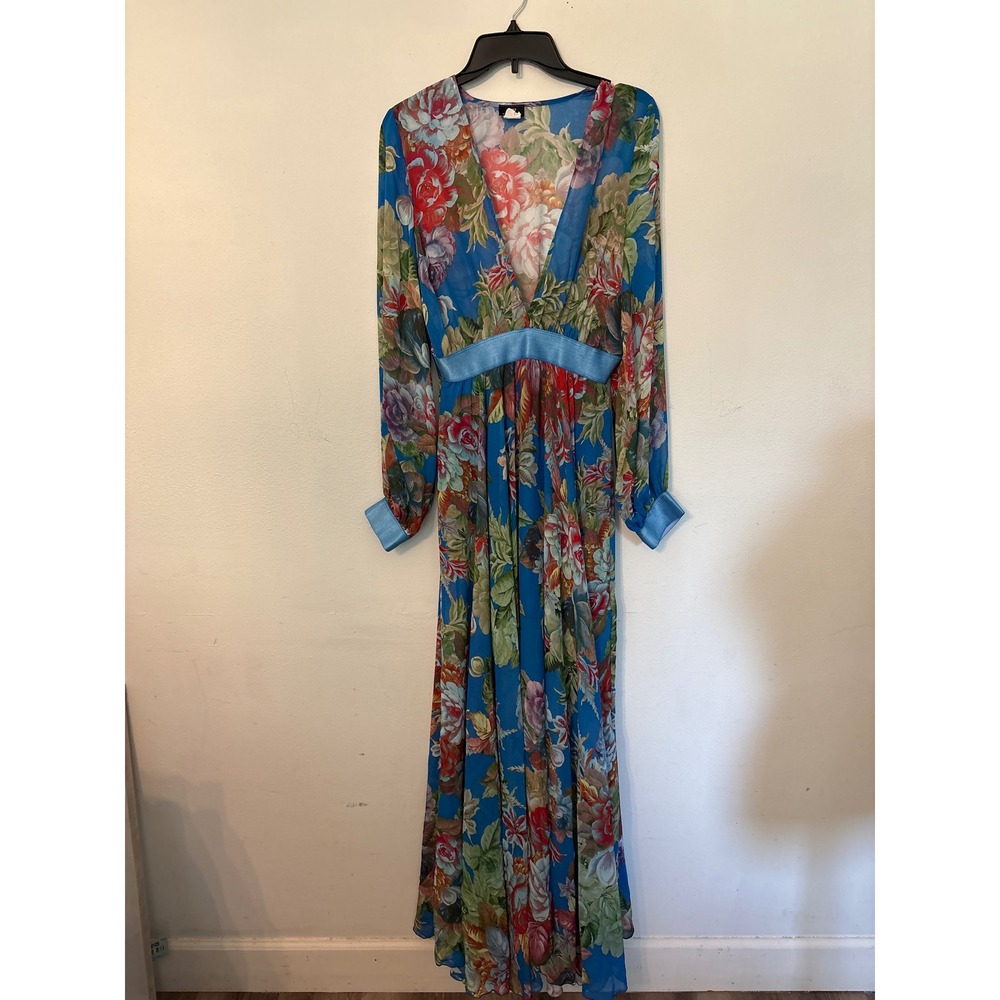 Va Va Voom Floral Maxi Dress Women Medium Blue Excellent Sheer Chiffon V-Neck